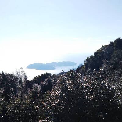 諭鶴羽神社境内から見える沼島。西には、和歌山の海岸線が見える。