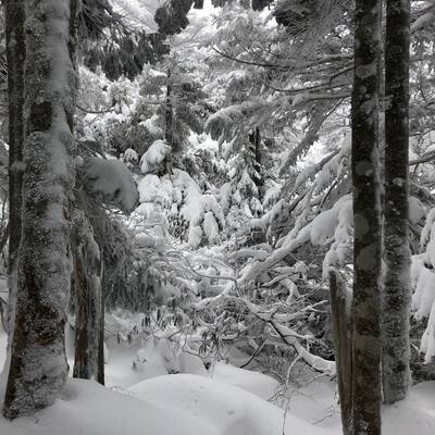 一晩中降り続いた雪で、下山ルートは雪の中☃️ 予報通り風も強いので、サッサと下山して温泉へ♨️