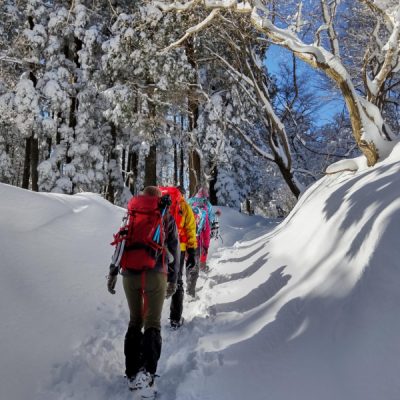 愛宕山の山頂に向かう道。人も少なくふかふかの雪です。