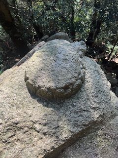 空海治作といわれている亀石。大龍寺奥の院の奥にあります。素通りしてしまいそうな場所にあり、亀さんを探せ！で