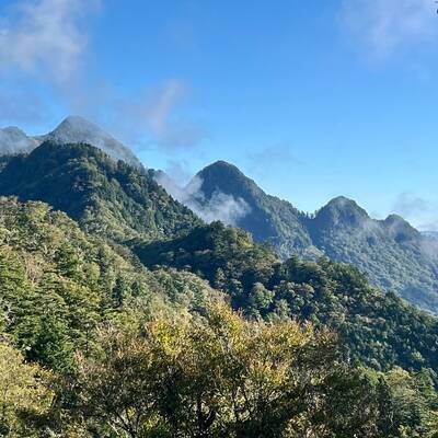 象形文字「山」のような姿。