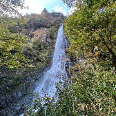 天滝。水量多く迫力満点。動画でないち伝わらない？