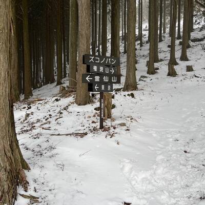 権現山と霊仙山の分岐