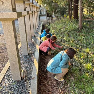 滝樹神社のユキワリイチゲ群生地　皆、かわいい！と写真を撮るのに夢中