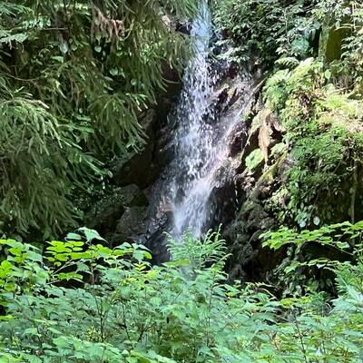 櫛羅（くじら）の滝