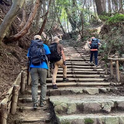 千早本道の登山道