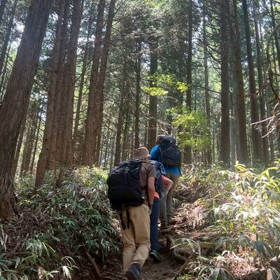 紀見峠への長い道のり