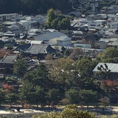 平等院を上から望む