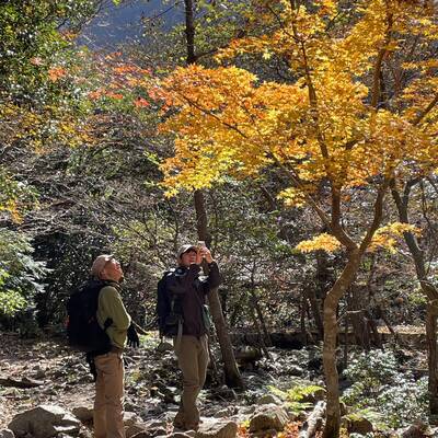 沢沿いルートの紅葉。写真撮ってばかりでなかなか進まない。