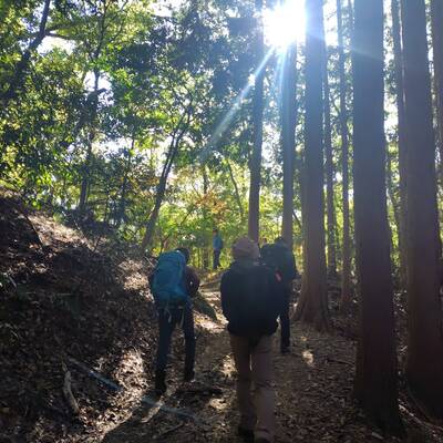 岩湧山の登山道。木漏れ日が心地良い。