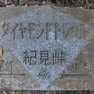 本日のゴール紀見峠。ここでダイトレ全部つながった!