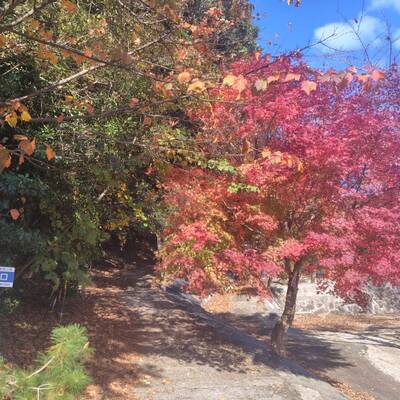 朝明渓谷駐車場の登山口。登山開始時はまだ暗かったので下山後に撮影。