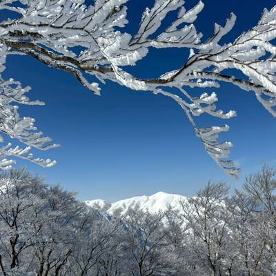 今日は部子山まで