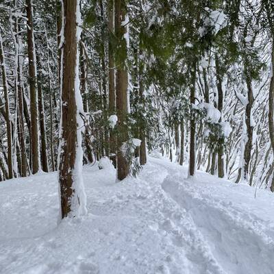 しっかりついたトレース道
